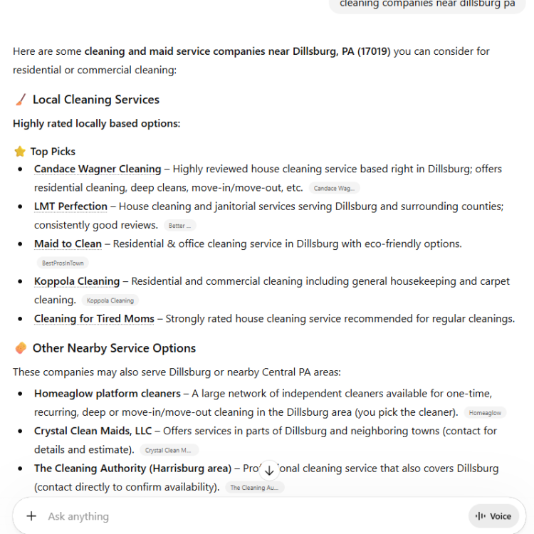 AI SEO Result for Cleaning Companies